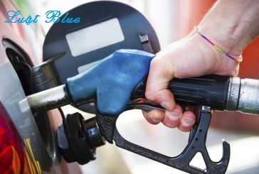 Thủ tục xin cấp giấy phép kinh doanh bán lẻ xăng dầu tại Thanh Hóa