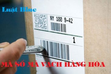 Những điều doanh nghiệp tại Thanh Hóa nên biết về đăng ký mã số mã vạch